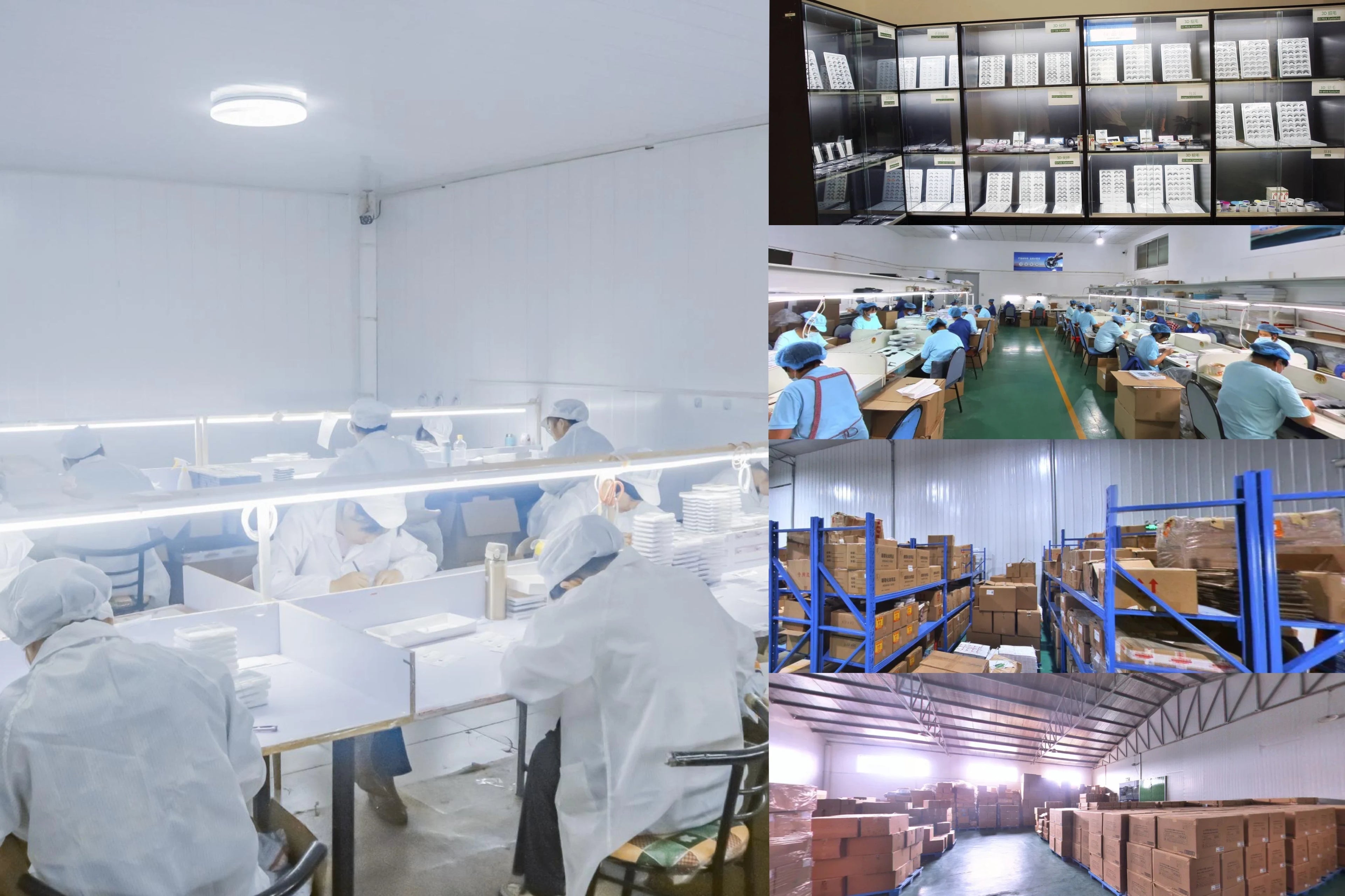 livre grappes Extensions faux cils bricolage à la maison grappe Extensions de cils maquillage